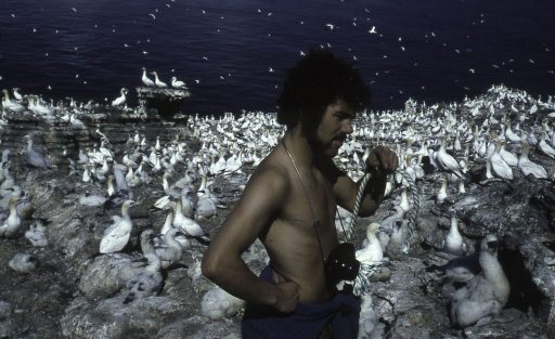 Safnahelgin í Safnahúsi Vestmannaeyja