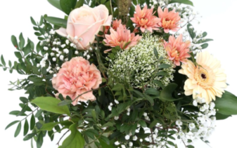 Moli mánaðarins – Gott er að heita á Góu. 